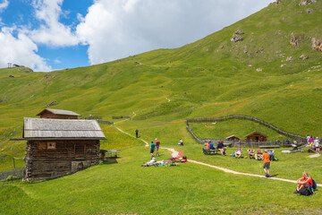 Wall Mural - hikers resting on a meadow at a mountain lodge in seceda in val garden, italy