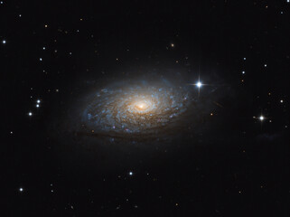 Wall Mural - m 63 sunflower galaxy