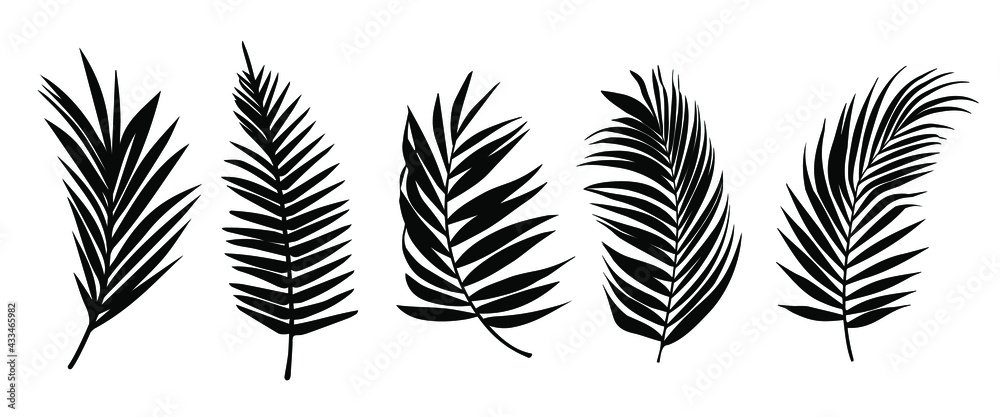 Beautiful palm tree leaf set silhouette background vector illustration  - obrazy, fototapety, plakaty 