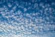 Beautiful summer sky background with altocumulus clouds that look like cotton pads with copy space
