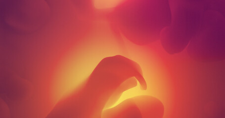 Poster - smooth abstract warm background with morphing and flowing shapes. orange and red lava lamp effect wi