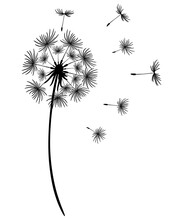 Dandelion With Flying Seeds. Black Silhouette Of A Flower On A White Background. Monochrome Vector Drawing. Beautiful Dandelion Design. Abstract Floral Illustration.