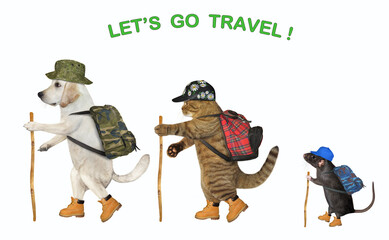 Wall Mural - Pets tourists with backpacks are hiking. Let's go travel. White background. Isolated.