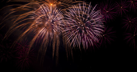 Wall Mural - Bright festive fireworks against the night sky. Firework Fiery flowers during the holiday.