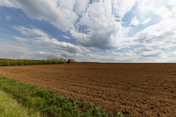 Poster - Landscape with arable land and meadows