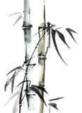 Fototapeta Sypialnia - Watercolor bamboo with leaves