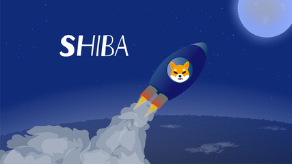 Wall Mural - shiba flies to the moon in spaceship. rocket with a dog's muzzle takes off from the ground and rushe