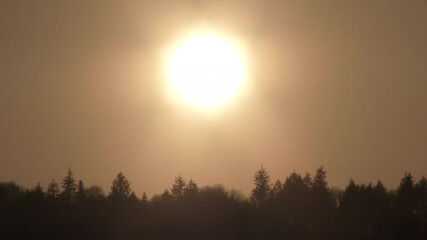 Wall Mural - Sun Falls Behind Treeline Time Lapse