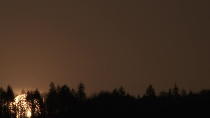 Sticker - Sun Rises Behind Treeline Time Lapse