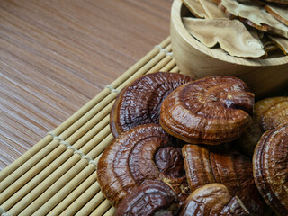 Wall Mural - The  lingzhi mushroom image close up for alternative medicine or medical and health  concept.