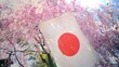 Cherry blossoms and the Japanese flag on a spring day.   