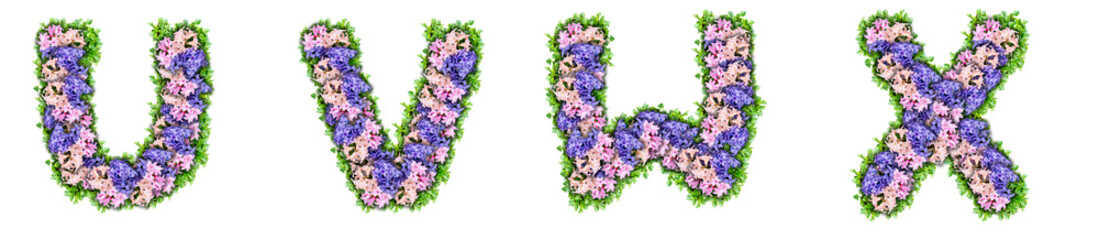 Wall Mural - letters U, V, W, X made of flowers and green leaves