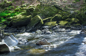 Wall Mural - A small river in the mountains with clear water in Wales UK