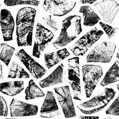 Poster - Abstract seamless pattern with various fragments of wood saw cuts and cross-sections on a light backdrop. Black and white vector background with elements of wooden textures in grunge style