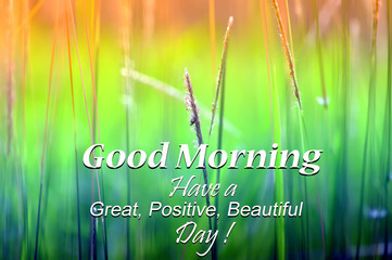 Good  Morning, Have a great, positive, beautiful