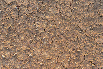 Brown dry soil or desert cracked ground texture background,land arid earth warming.