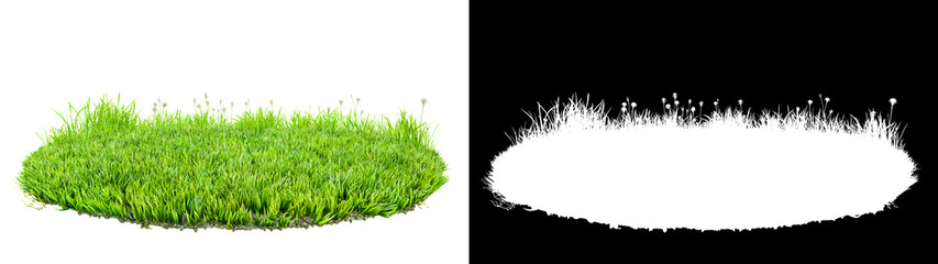 Wall Mural - green grass turf isolated on white background with alpha mask for easy isolation 3d illustration