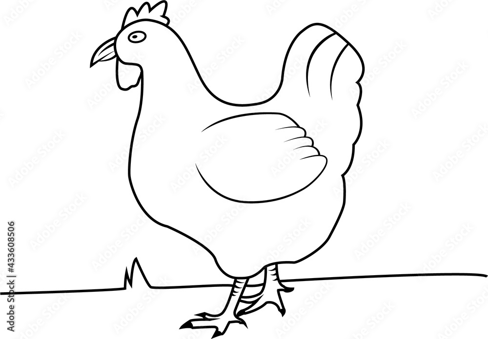 Vector Of Non Color Chicken in Grass and Only Line. Perfect For Color ...
