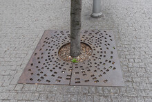 Rounded Metal Tree Grille Grate, Cast Iron Tree Guard Bed Tree Protection With Some Urban Dirt And Rubbish