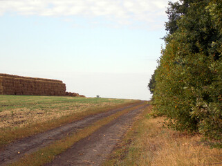 Sticker - Autumn rural road and haystack under clear sky