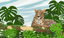 The Jaguar Panthera Onca Lies On A Long Branch Of A Tropical Tree Covered With Moss. Jungle With Monstera And Other Exotic Plants. Realistic Vector Landscape