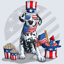 Cute Dalmatian Dog Sitting With American Independence Day Elements 4th Of July And Memorial Day