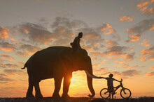 Silhouette Elephant And Child On During Sunset,Thailand