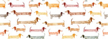 Watercolor Hand Drawn Seamless Pattern With Dogs Isolated On White Background. Long Stylized Creative Cute Dachshunds. Artistic Creative Background.