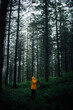 © Ekaitz Gerique/ADDICTIVE STOCK - Side view tourist in outerwear with hood standing on pathway among plants and high trees in forest and looking up
