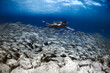 © Jairo Diaz/ADDICTIVE STOCK - Side view full body of female traveler wearing diving mask swimming underwater near school of fish and sandy bottom