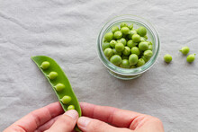 From Above Of Cropped Unrecognizable Person Hands Peeling Green Pea Pods On Table At Home