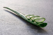 © Paco Sinisterra/ADDICTIVE STOCK - Piece and leaf of green aloe vera placed on gray background in studio