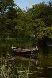Fototapeta  - boat on the river