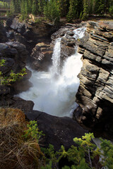 Athabaska Falls 2