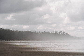 Wall Mural - Beautiful scenery of a Pacific Rim National Park Reserve in Bamfield, Canada surrounded by fog