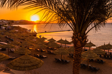 Wall Mural - Sunset at the beach with palm trees, parasols and sunbeds.