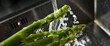 Rinse fresh green asparagus with water. Horizontal close up with short depth of field.
