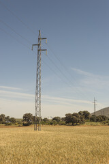 Sticker - Vertical shot of transmission towers in the steppe during daylight