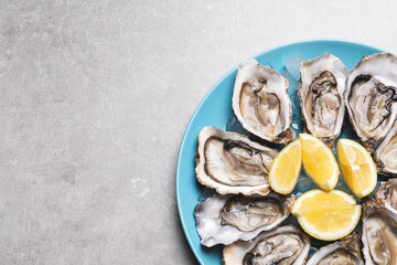 Fresh oysters with lemon on grey table, top view. Space for text