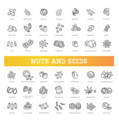 web icons collection - nuts, beans and seed.