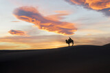 Fototapeta Konie - Camel going through the sand dunes on sunrise, Gobi desert Mongolia