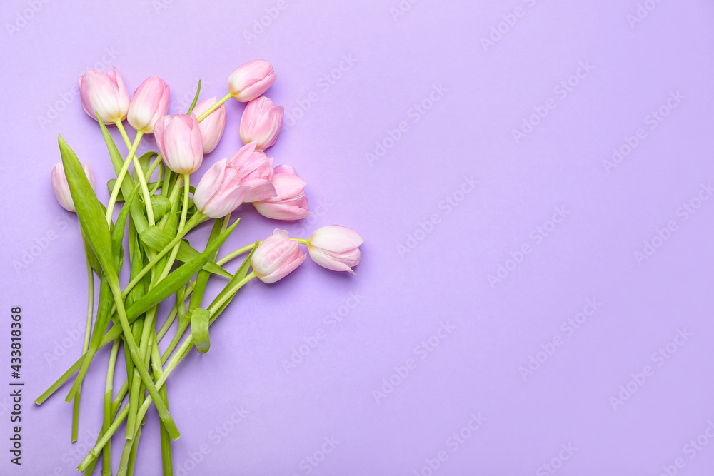 Beautiful tulip flowers on color background