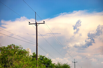 Electric is on the side of the road. To bring power