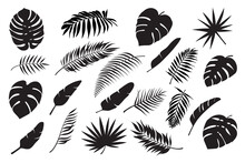 Palm Leaves Silhouettes. Tropical Leaf Monstera, Banana And Coconut. Jungle Foliage, Exotic Rainforest Palm Tree Floral Decoration Vector Set. Paradise Branches And Leafage For Summertime