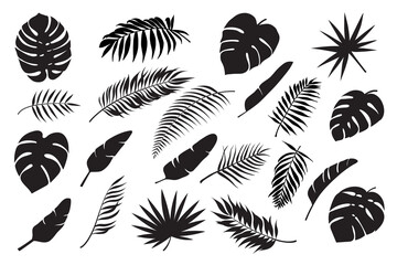 Palm leaves silhouettes. Tropical leaf monstera, banana and coconut. Jungle foliage, exotic rainforest palm tree floral decoration vector set. Paradise branches and leafage for summertime