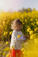 Sticker - Cute blonde Netherlandian kid picking yellow flowers in the field