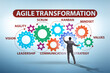 © Elnur - Concept of agile transformaion and reorganisation