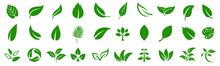 Leaf Icons Set Ecology Nature Element, Green Leafs, Environment And Nature Eco Sign. Leaves On White Background – Vector