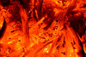 Poster - The beautiful bright background consists of burning small woods.