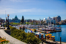 View Of Victoria Inner Harbour And British Columbia Provincial Parliament Building,March 2016: Vancouver Island, BC, CANADA,